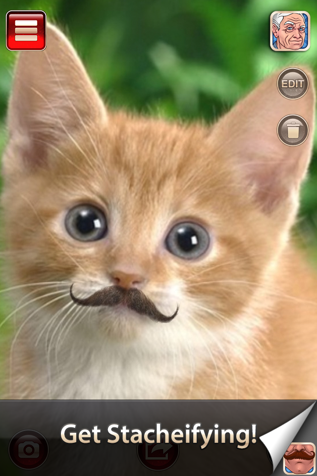 iPhone Screenshot 1